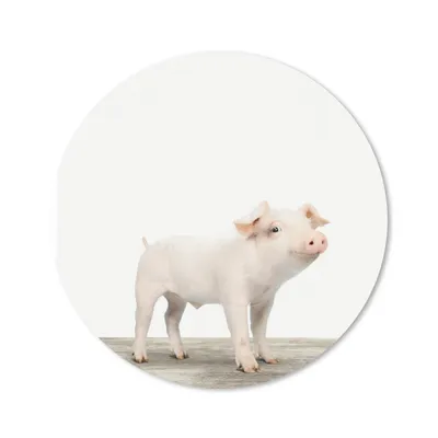 Produktbild von MuchoWow® Mauspad Mousepad Tiere - Schwein - Baby 50x50 cm - Mousepads - Maus Mat - Pad - Mausunterlage - Vinyl