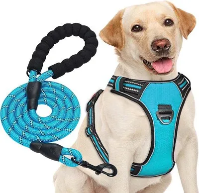 Produktbild von Famanu Hundeharnes Verstellbar mit reflektierenden Details - robustes und komfortables Hundegeschirr für mittelgroße und große Hunde - inklusive