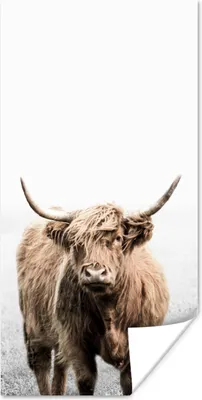 Produktbild von MuchoWow® Poster Schottischer Highlander - Vlies - Kuh 60x120 cm - Wandschmuck