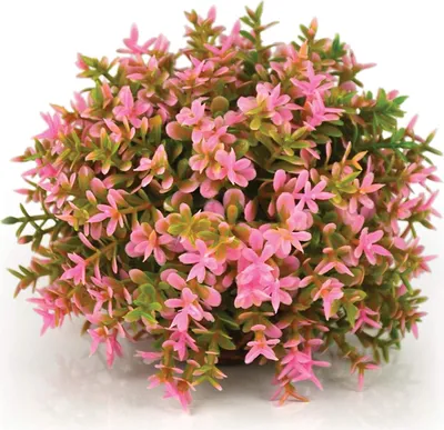 Obrázek produktu pro biOrb Flower ball pink