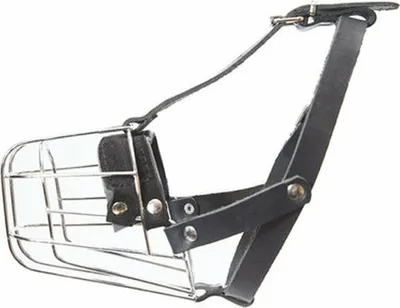 Zdjęcie produktu dla Kaganiec Julius K9 Yorkshire Terrier