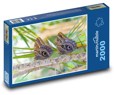 Obrázok produktu pre martinpuzzle – Puzzle 2000 – Motýle