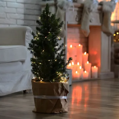 Produktbild von LED Lichterkette, 20 LEDs, Batterie, silber, L 220 cm