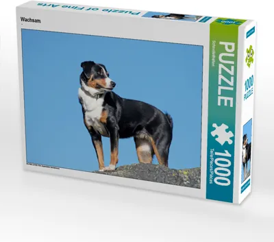 Produktbild von CALVENDO Puzzle Wachsam | 1000 Teile Lege-Größe 64x48cm Foto-Puzzle für glückliche Stunden