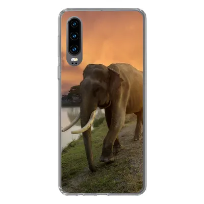 Produktbild von MuchoWow® Handyhülle Schutzhülle Hülle für Huawei P30 Elefant - Wasser - Tiere - Sonnenuntergang - Natur Silikon Softcase Handy Hülle - Kartenbesitzer