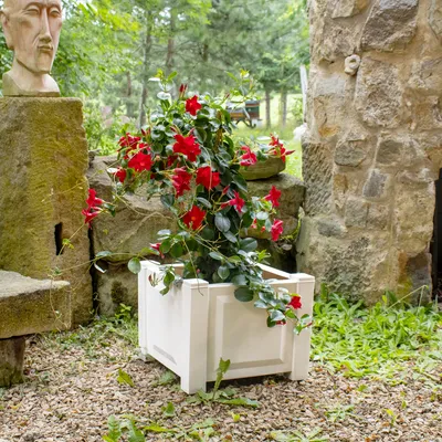 Produktbild von Pflanzkasten NYVIGreen 43x43x41 cm 44 Liter - Pflanzkübel aus wetterfestem & recyceltem Kunststoff, Farbe:Weiß