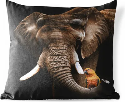 Produktbild von MuchoWow® Outdoor Kissen - Elefant - Papagei - Zähne - 50x50 cm - Wetterfest - Lounge Kissen - Komfortabel - Kissen mit Bild