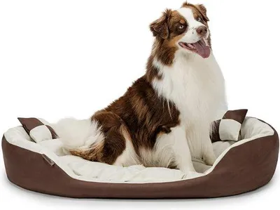 Immagine prodotto di Cuccia per cani 4 in 1, cuscino reversibile 110x80 cm, marrone/beige