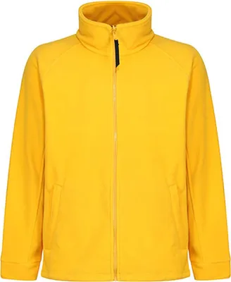 Productafbeelding van Regatta Professionele fleecejas voor heren, model Thor III, medium dikte, warm