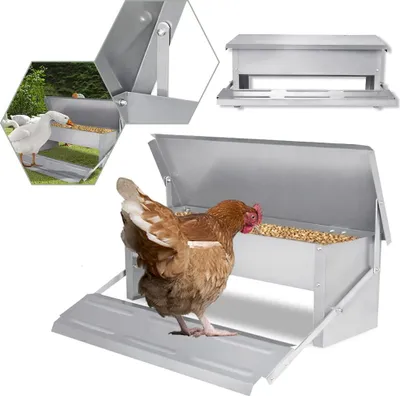 Produktbild von UISEBRT Futterautomat Hühner 5kg - Hühner Futterspender aus Verzinkter Stahl für Geflügel, wasserdicht und rattensicher