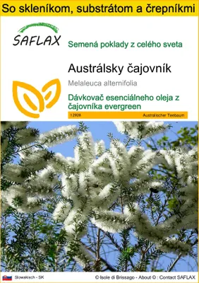 Obrázok produktu pre SAFLAX Kultivačný set - Austrálsky čajovník - Melaleuca alternifolia - 400 Semená - S mini skleníkom, pestovateľským substrátom a 2 črepníkmi