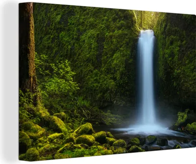 Produktbild von OneMillionCanvasses® - Leinwandbilder - 150x100 cm, Dschungel - Wasserfall - Natur, Wandbilder Kunstdruck Wanddekoration