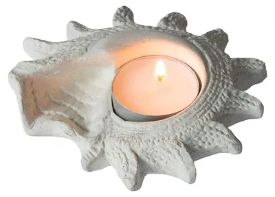 Produktbild von Teelichthalter "Muschel" Resin 10cm
