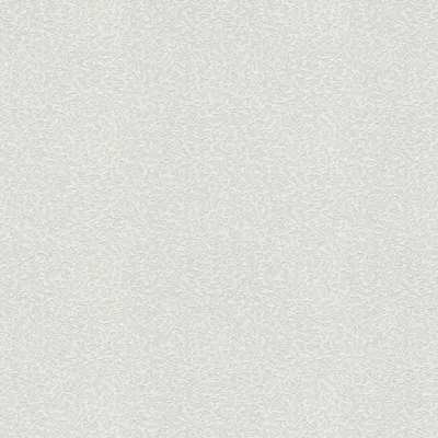 Zdjęcie produktu dla A.S. Création tapeta włókninowa Meistervlies Pro Protect 2, biała, do malowania, 25,00 m x 1,06 m, 643018, 6430-18