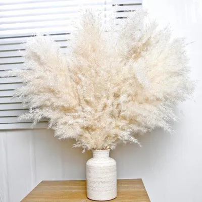 Immagine prodotto di Set di erba della pampa beige da 10 pezzi - Fiori decorativi - Naturali