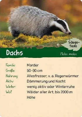 Produktbild von Naturforscher-Kids - Wald