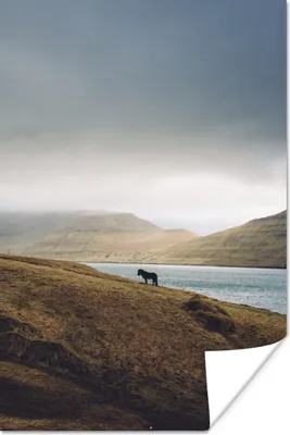 Produktbild von MuchoWow® Poster Pferd - Berg - Landschaft 80x120 cm - Papierdruck