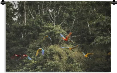 Produktbild von MuchoWow® Wandteppich Wandbehang Papageien - Fliegen - Wald 120x80 cm Tapisserie Dekoration Wandtuch - Wanddekorationen - Wandtücher
