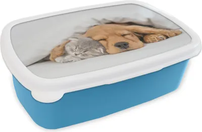 Produktbild von KitchenYeah® Lunchbox Brotzeit Brotdose 17x11 cm Haustiere - Hund - Katze - Decke Kinder Brotzeitdose - Lunch - Kunststoff  - Brotbüchse - Sandwichbox - Lunchbox für Kinder