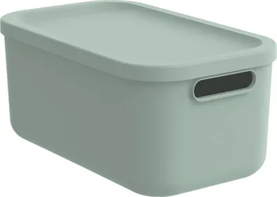Produktbild von Rotho KAYO Multi Box 12L Sage Green
