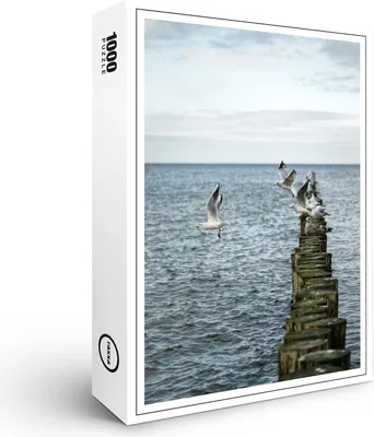 Image de puzzle premium raxxa "Mouettes", 1000 pièces