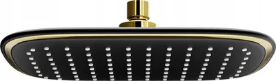 Immagine prodotto di D-49 Soffione doccia 25x29 cm nero/oro (79749-75)