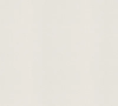 Obrázek produktu pro A.S. Création netkaná tapeta Meistervlies Pro Protect 2, bílá, malovatelná, 25,00 m x 1,06 m, 573612, 5736-12