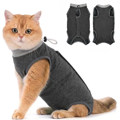 Produktbild von Erholungspaket für Katzen nach einer Operation - M