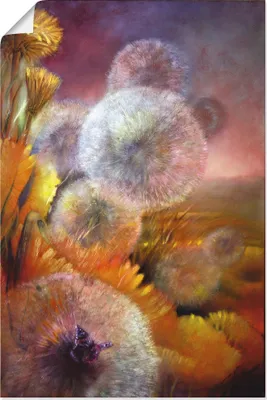Produktbild von ARTland Poster Löwenzahn und Schmetterling Größe: 80x120 cm
