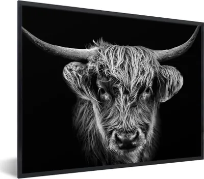 Produktbild von MuchoWow® Gerahmtes Poster Schottischer Highlander - Schwarz - Kuh - Tiere 80x60 cm - Poster mit Schwarzem Bilderrahmen Wandposter Rahmen Foto Bilder - Schwarzem - Mit Gestell