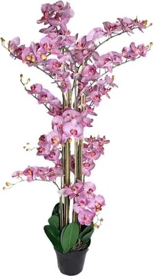 Produktbild von Warentuin Producten