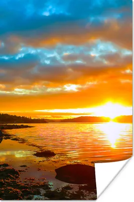 Produktbild von MuchoWow® Poster Sonne - Landschaft - Wasser - Bäume 20x30 cm - Papierdruck