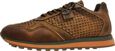 Image de Cetti I24 : Chaussures de sport pour hommes, lacets, couleur marron, style décontracté