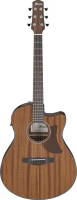 Produktbild von Ibanez AAM54CE-OPN