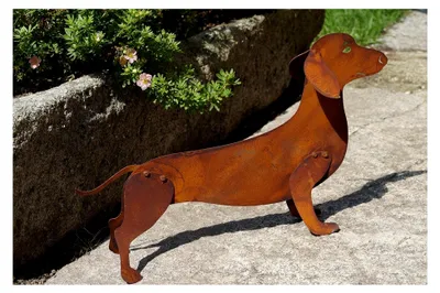 Produktbild von Dackel Benji 3D aus Edelrost 47 x 27 cm Hund Figur für den Garten