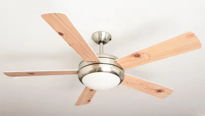 Immagine prodotto di Ventilatore da soffitto Ursa Nichel / Bianco-Pino 132 cm con luce e telecomando