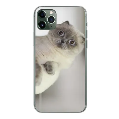 Produktbild von MuchoWow® Handyhülle Schutzhülle Hülle für iPhone 11 Pro Max Katze - Tier - Wohnzimmer Silikon Softcase Handy Hülle - Schutz