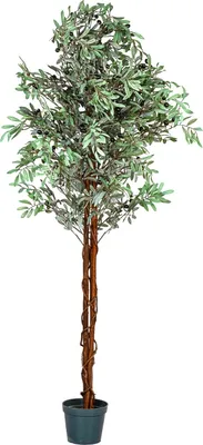 Produktbild von PLANTASIA Kunstpflanze Olivenbaum 180 cm