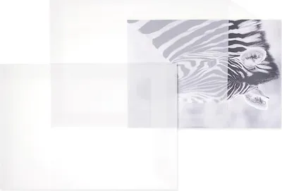 Produktbild von Transparent-Versandtaschen - Weiß (Transparent-Weiß)229 x 324 mm (DIN C4) | 110 g/qm Offset | Ohne Fenster | Haftklebung | Gerade Klappe | 100 Stück