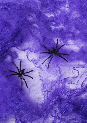 Produktbild von Lila Spinnennetz mit Spinnen für Halloween Dekoration