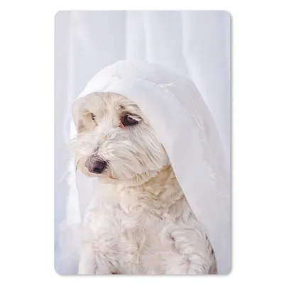 Produktbild von MuchoWow® Mauspad Mousepad Ein weißer Malteserhund schaut aus dem Fenster 40x60 cm - Mousepads - Maus Mat - Pad - Mausunterlage - Schreibtisch Accesoire