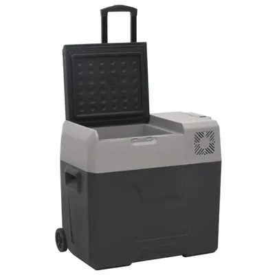 Produktbild von vidaXL Kühlbox mit Rollen und Griff Schwarz & Grau 50 L Polypropylen
