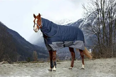Immagine prodotto di Equithème Tyrex 600D 200g - blu navy - Parte del collo