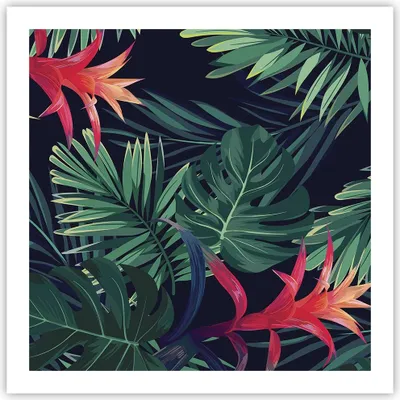 Produktbild von Poster - Poster ohne Rahmen - Exotisch Blumen Blätter - 60x60 cm - Wand Bild - Wanddeko - Wandbilder - Kunstposter - Wandposter - Bilder - Kunstdruck - Wanddekoration - Wandbild - P2XAC60x60-4308