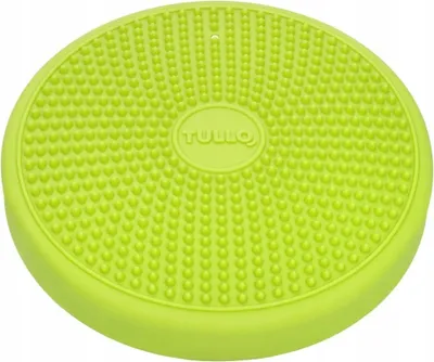 Image de Coussin sensoriel disques sensoriels pour massage 30 cm vert