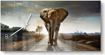 Produktbild von DEQORI Glasuhr 60x30 cm Zahlen 'Elefant auf Asphalt' Wanduhr Glas Uhr Design leise