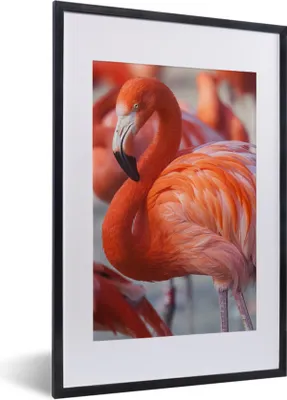 Produktbild von MuchoWow® Gerahmtes Poster Flamingo - Vogel - Tiere - Rosa 40x60 cm - Poster mit Schwarzem Bilderrahmen Wandposter Rahmen Foto Bilder - Poster in Rahmen