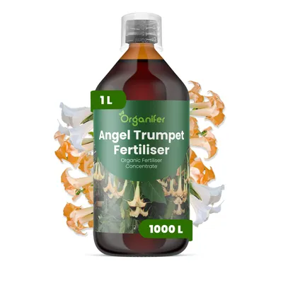 Produktbild von Engelstrompete Flüssigdünger 1L – 3-4-3 NPK – Flüssigdünger Für Blühpflanzen – Fördert Stiele & Vitalität – Organifer