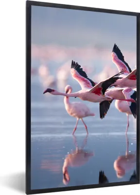 Produktbild von MuchoWow® Gerahmtes Poster Flamingo - Vogel - Wasser - Rosa 60x90 cm - Poster mit Schwarzem Bilderrahmen Wandposter Rahmen Foto Bilder - Kunst
