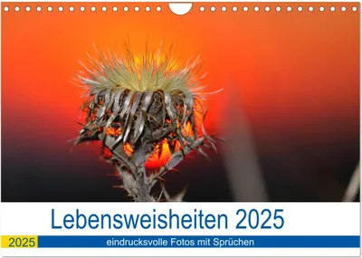 Produktbild von Lebensweisheiten 2025 (Wandkalender 2025 DIN A4 quer), CALVENDO Monatskalender
